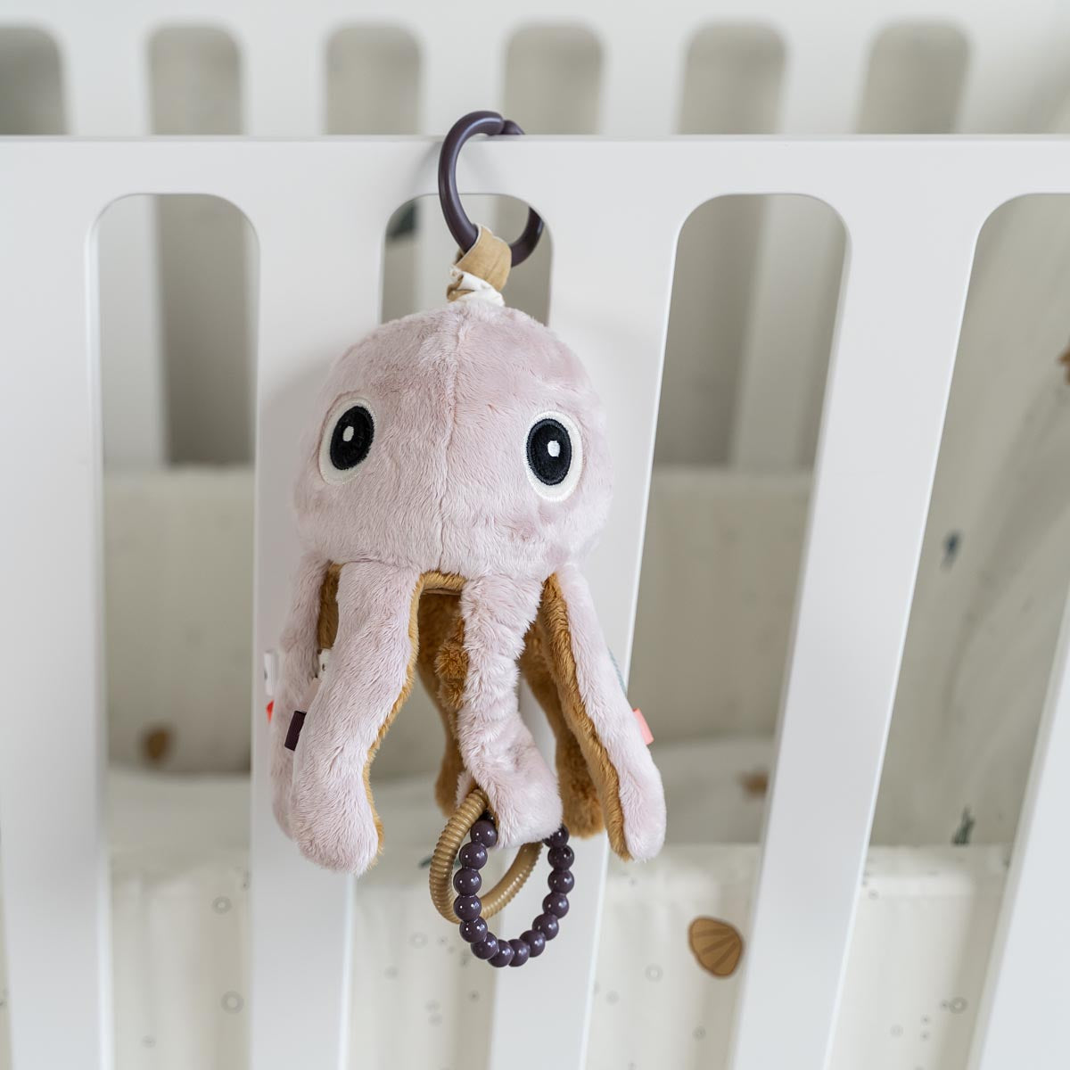 Activity Toy | Jelly - Powder