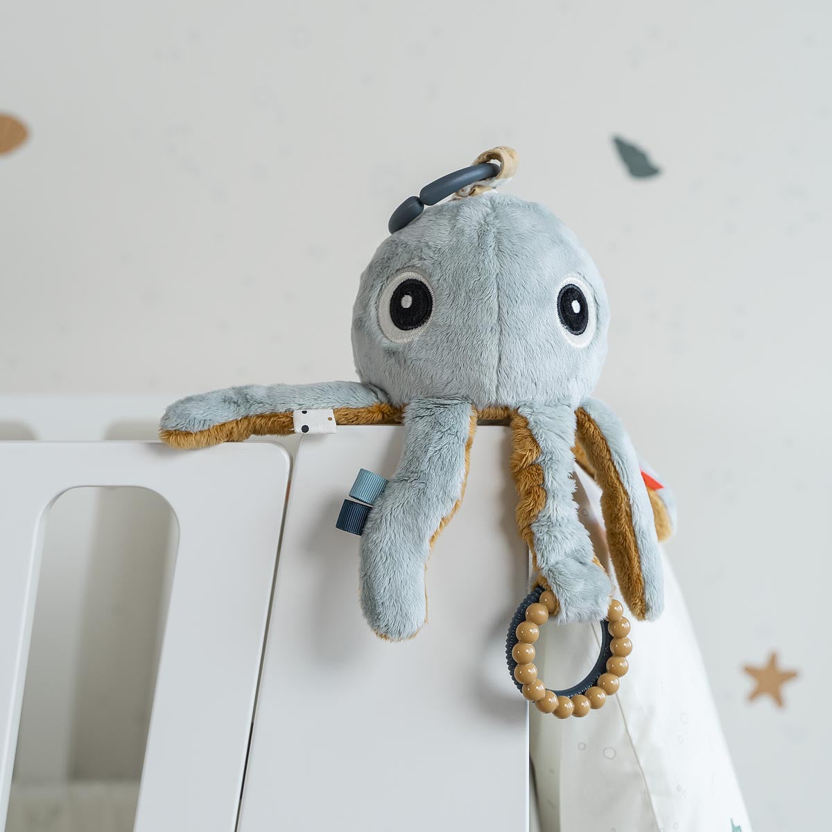 Activity Toy | Jelly - Blue