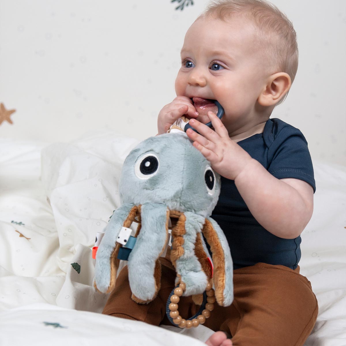 Activity Toy | Jelly - Blue