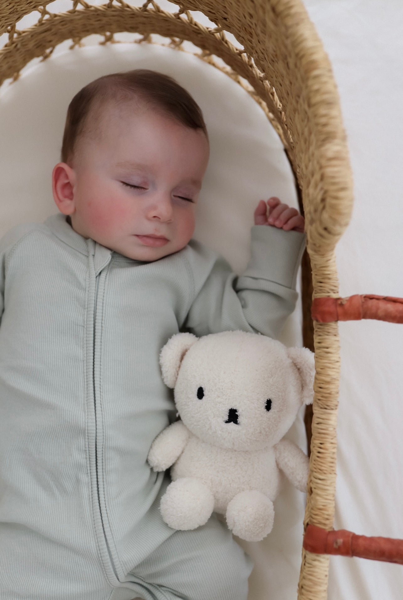 Boris Bear - Terry Cream | 17cm