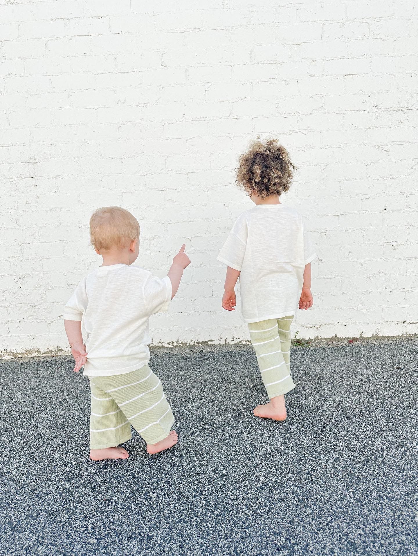Cropped Pants - Fern Stripes