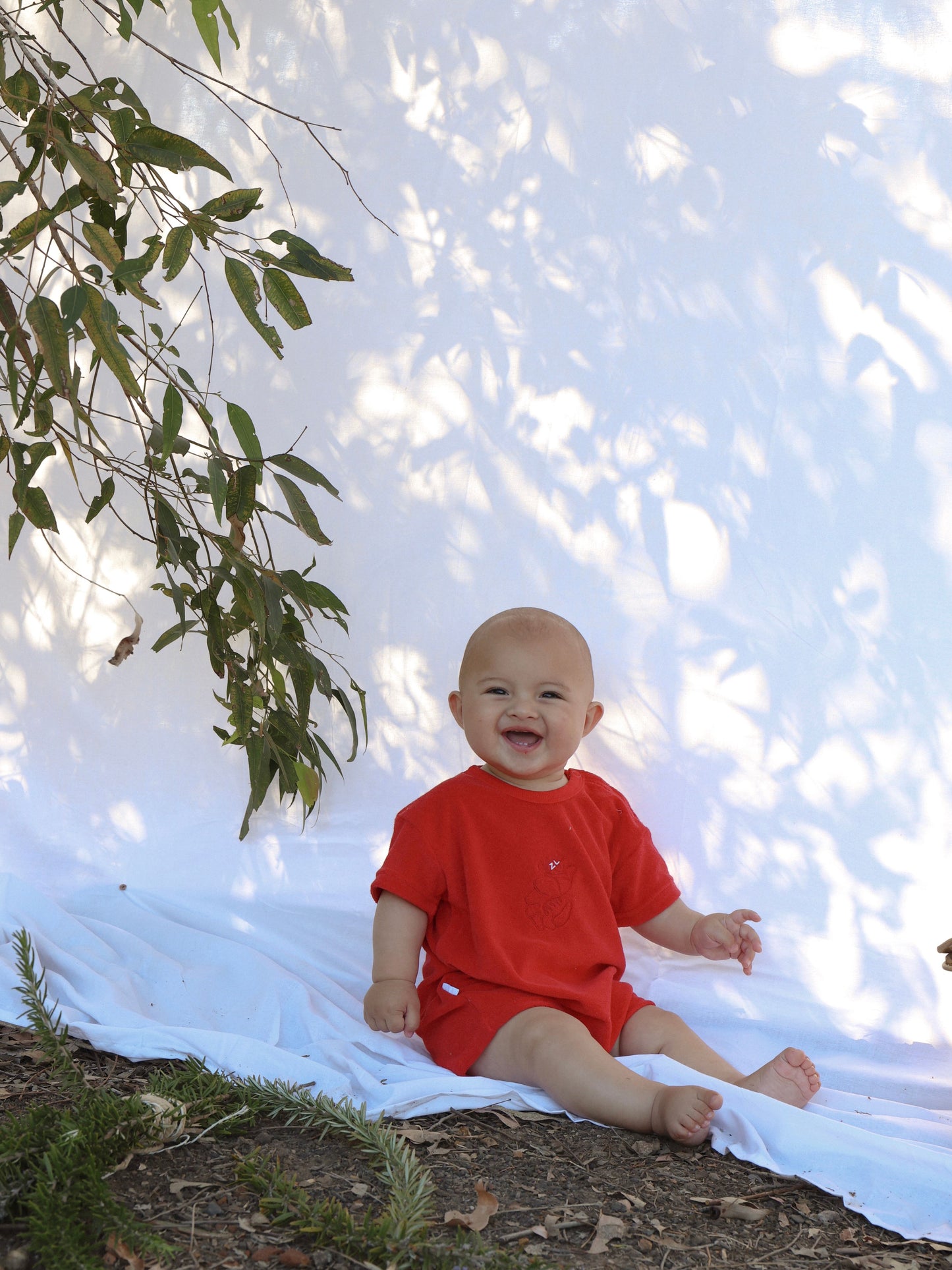 Playsuit - Shawn the Prawn