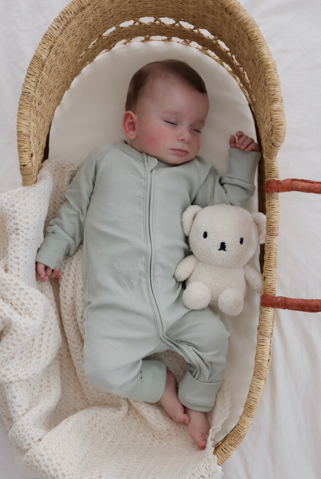 Boris Bear - Terry Cream | 17cm