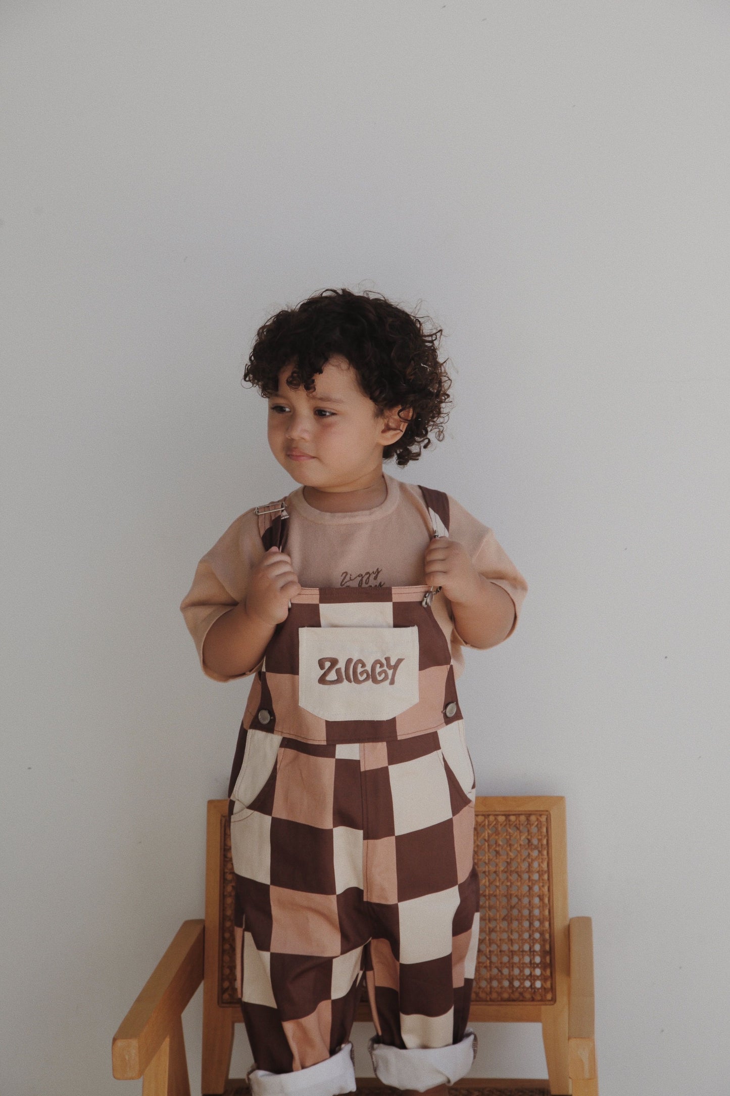 Overalls - Checks