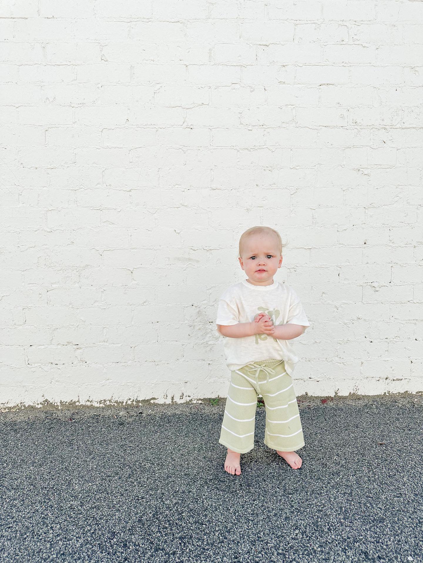 Cropped Pants - Fern Stripes