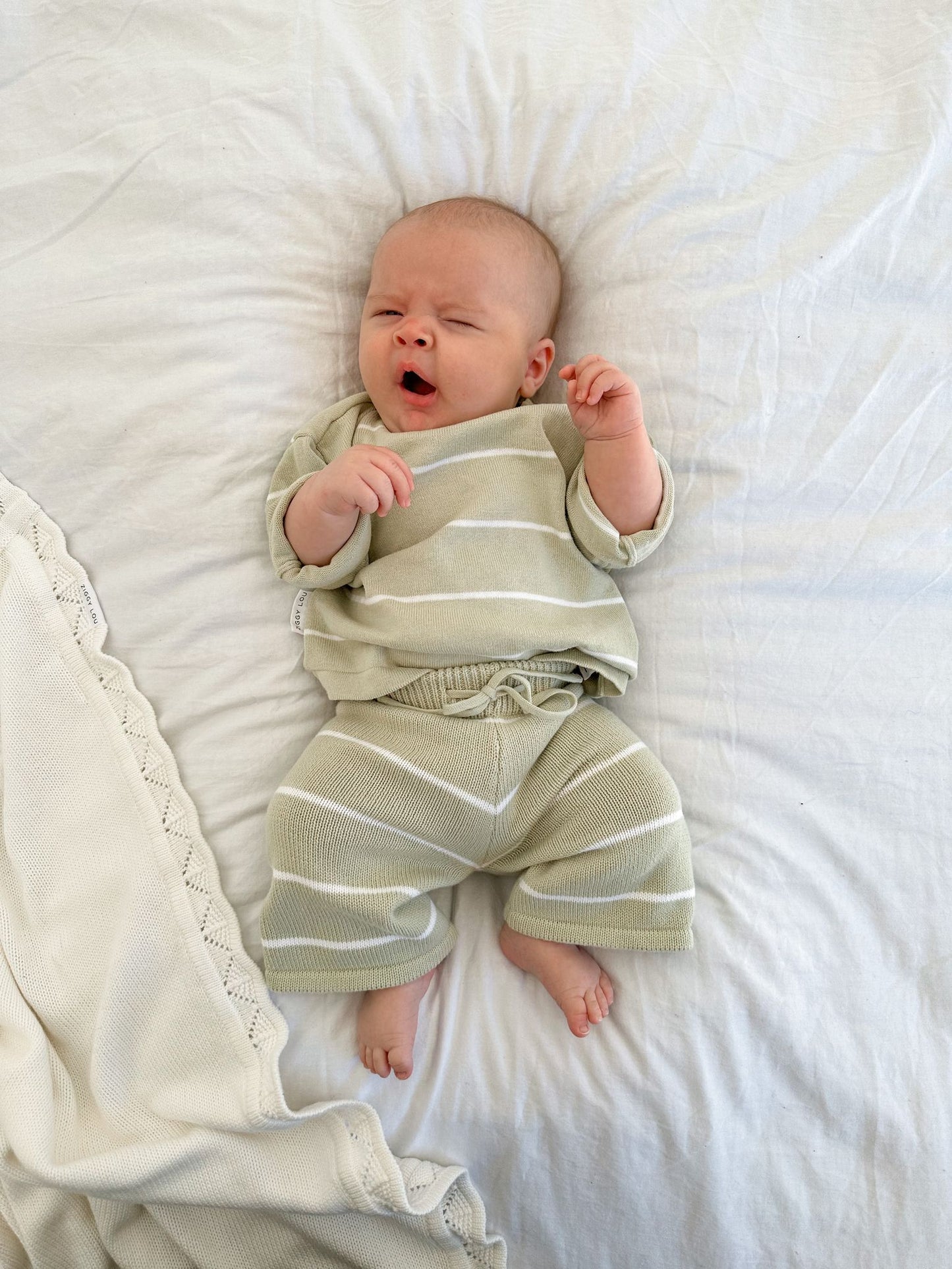 Cropped Pants - Fern Stripes
