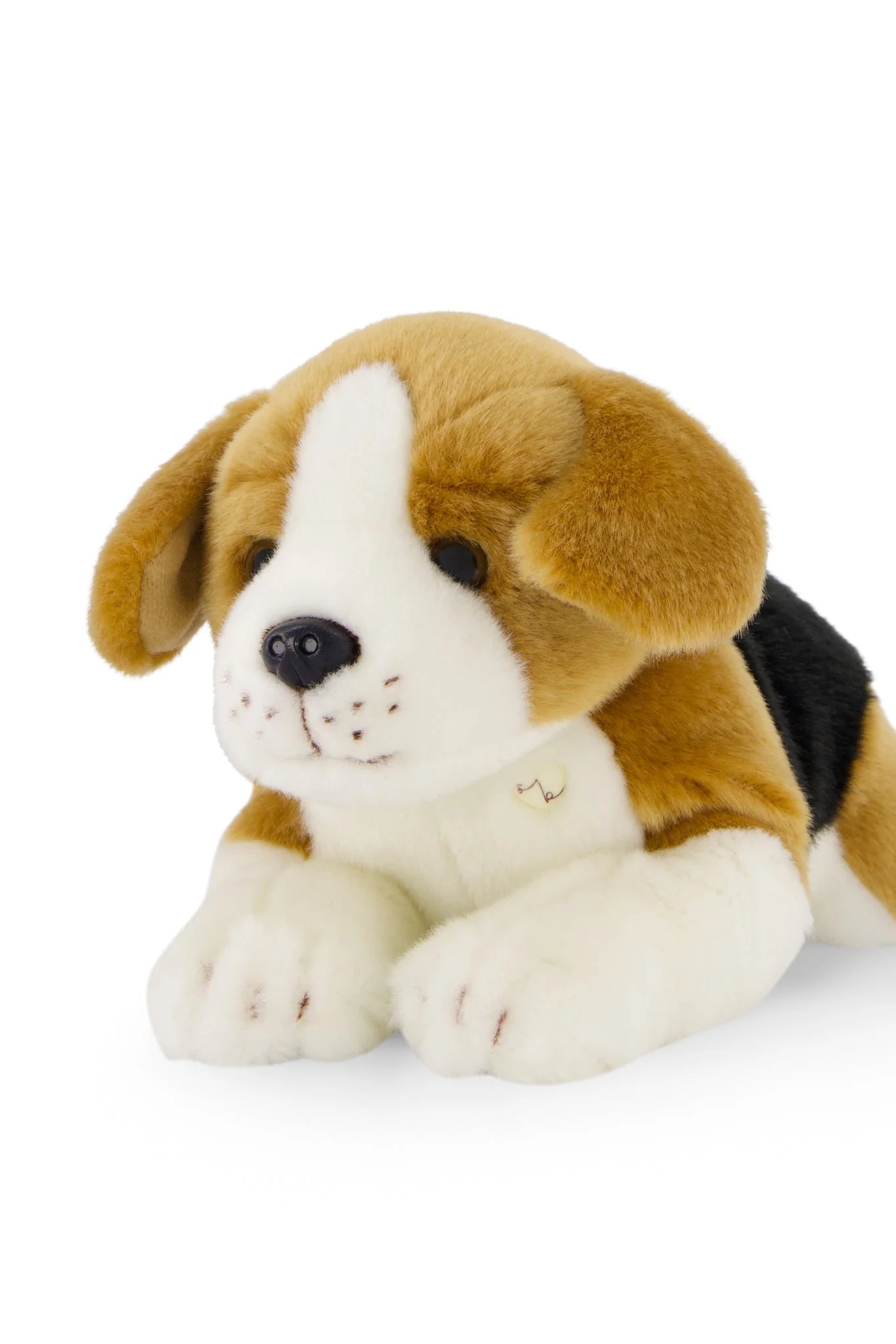 Brooklyn the Beagle