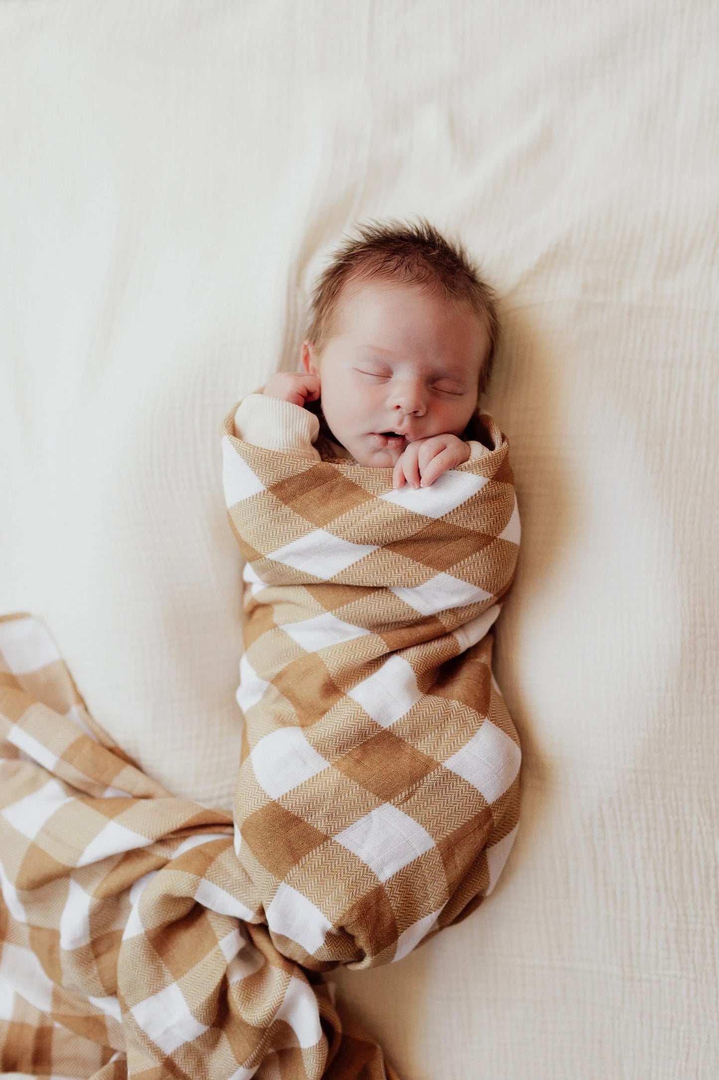 Swaddle - Lancaster