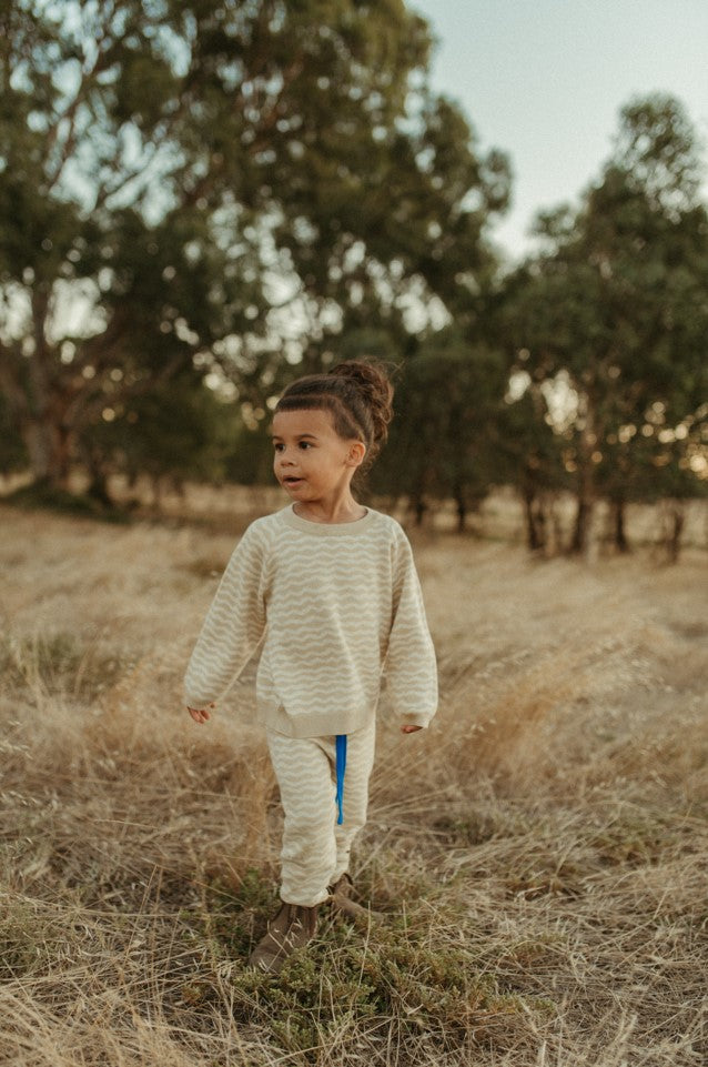 Organic Raglan Pull Over - River
