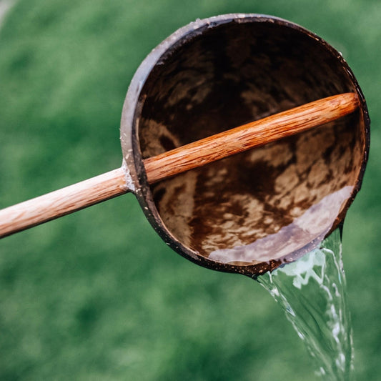 Coconut Water Scoop