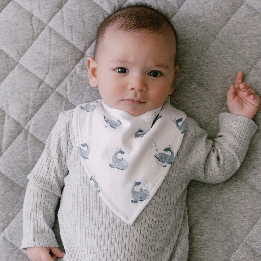 Dribble Bib - Whale