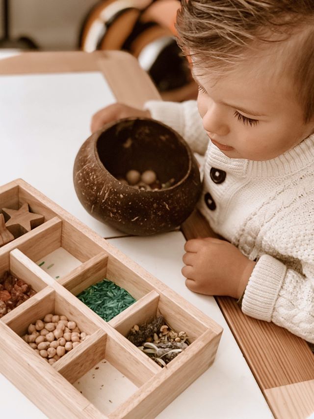 Coconut Sensory Box