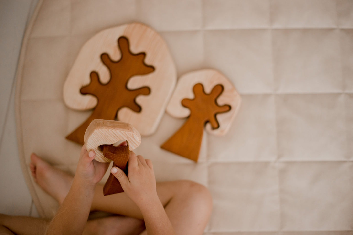 Two Toned Wooden Trees | Set of 3