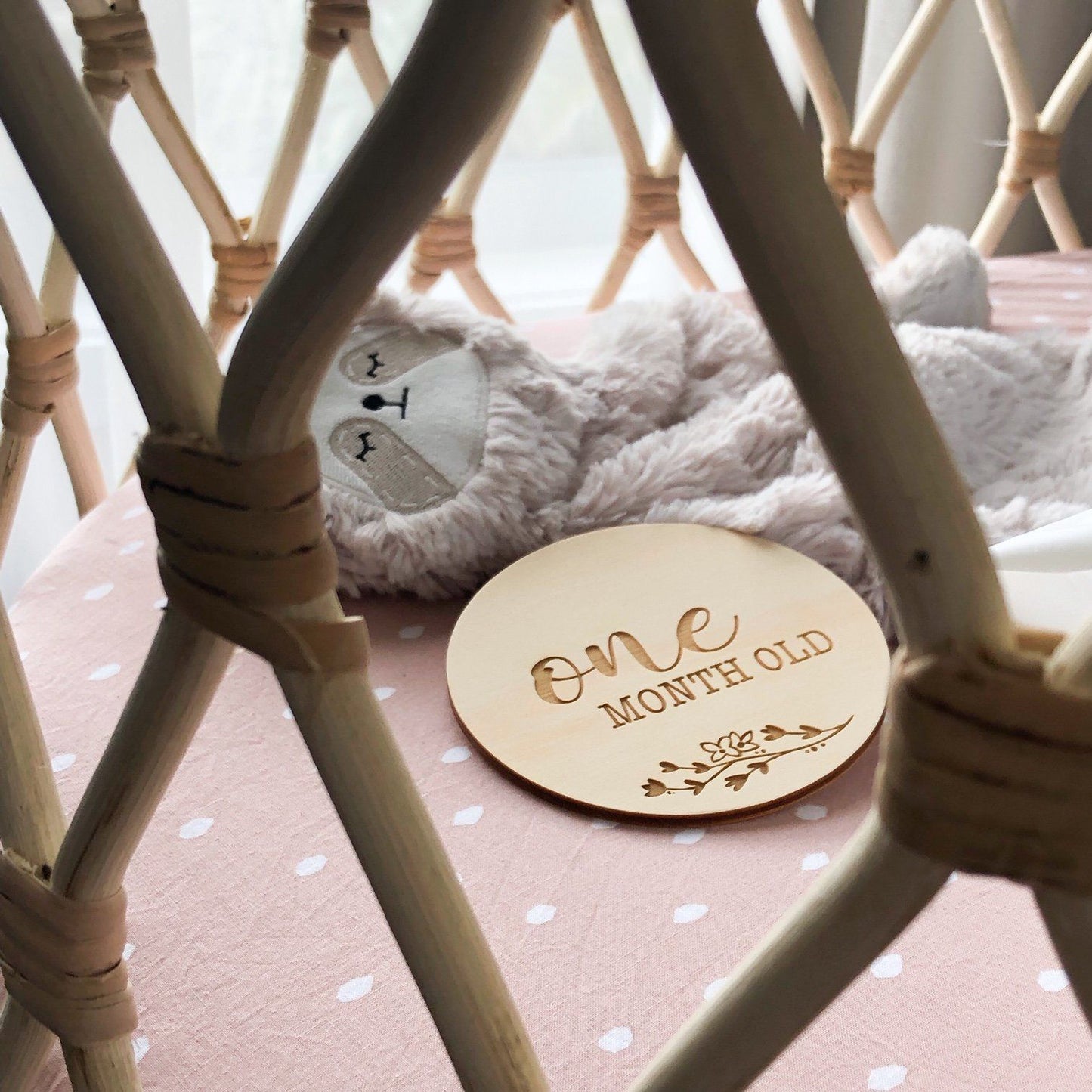 Baby Milestone Plaques - Vintage Floral