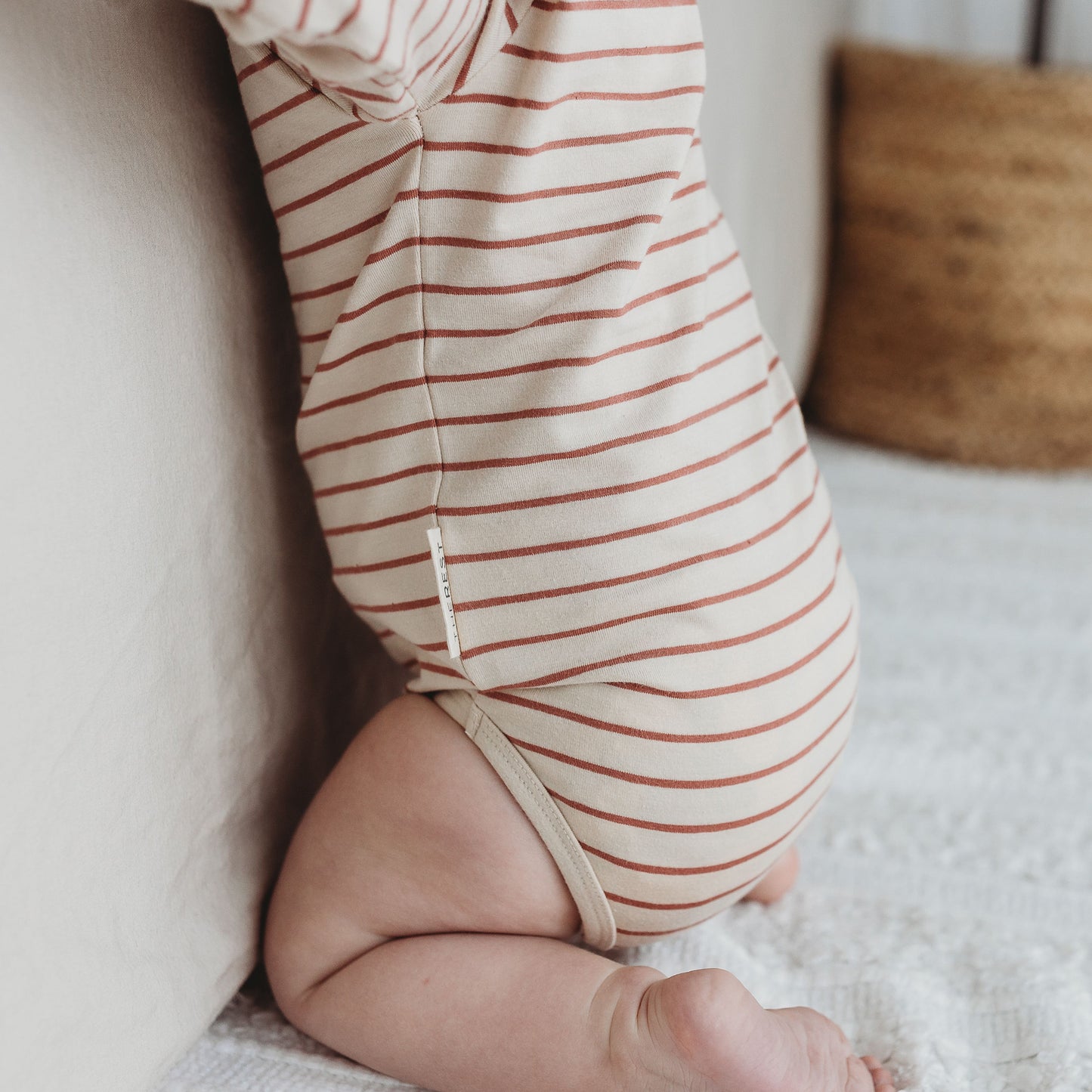 Long Sleeve Bodysuit - Cedar Stripe