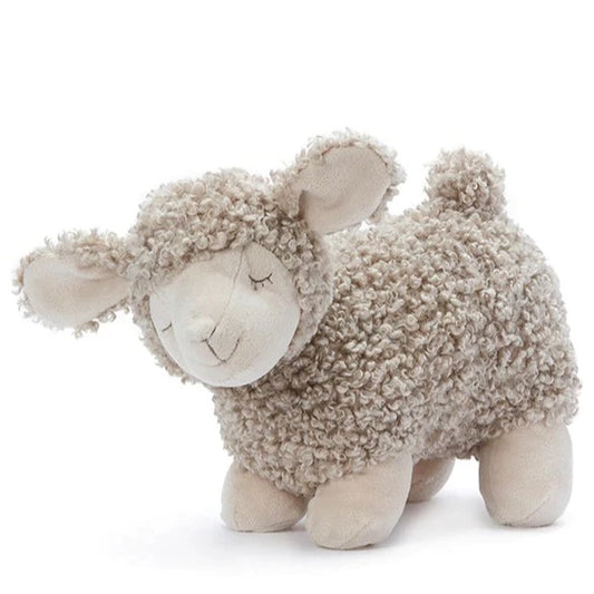 Charlotte the Sheep