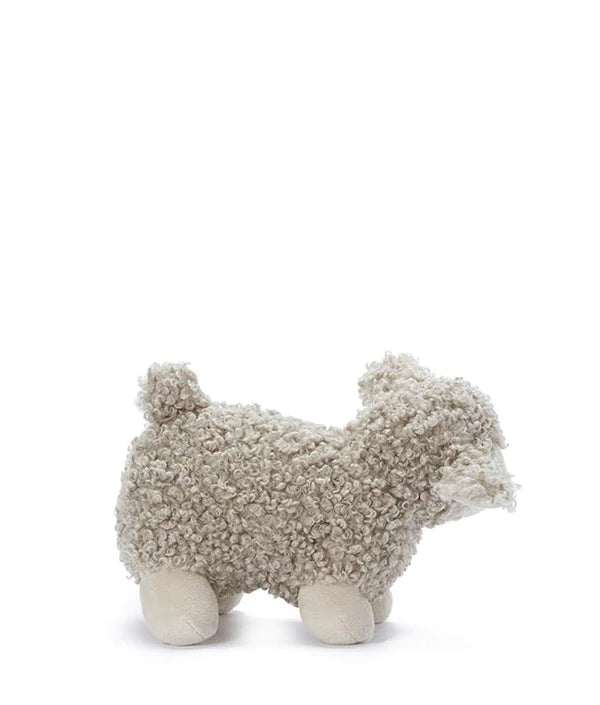 Lucy Lamb