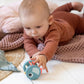 Wooden Rattle - Birdee - Blue