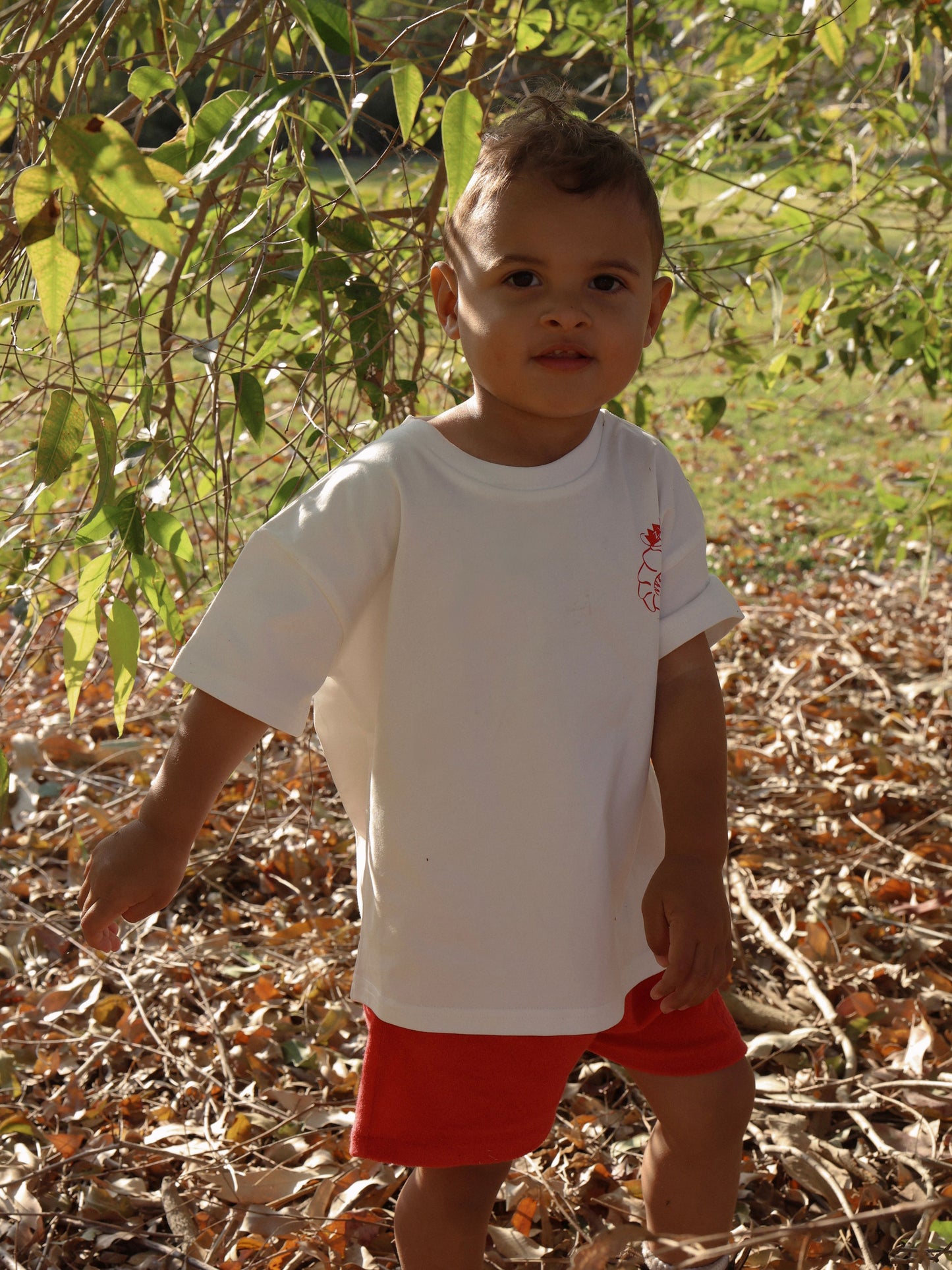 Tee - Shawn the Prawn