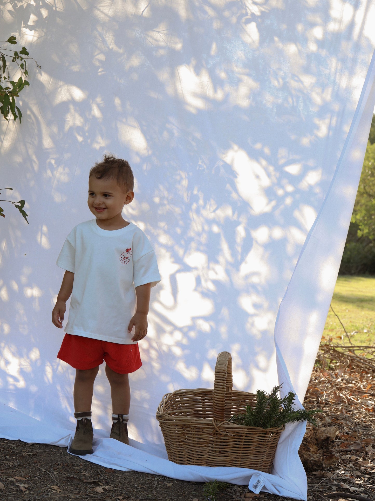 Shorts - Shawn the Prawn