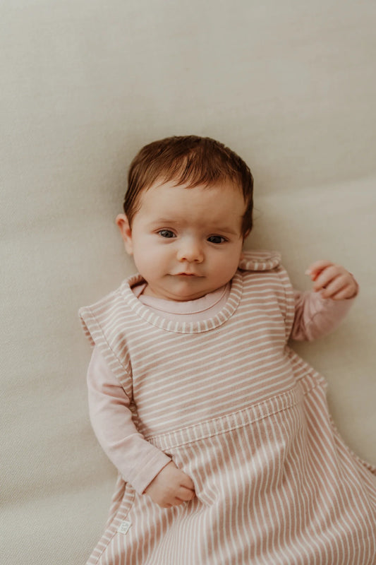 Go Go Bag - All Seasons - Misty Rose Stripe