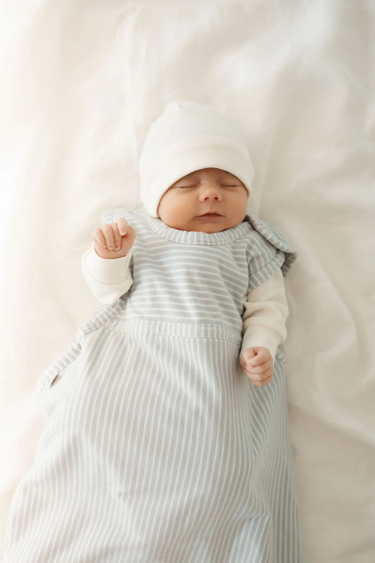 Go Go Bag - All Seasons - Turtle Dove Stripe