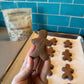 Kid's Immune Protein - Cacao Cavalry