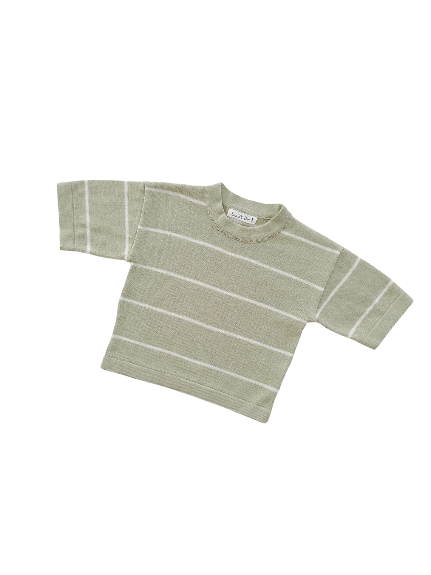 Long Sleeve Tee - Fern Stripes