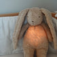 Organic Humming Bunny - Sand