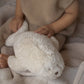Organic Humming Seal - Polar