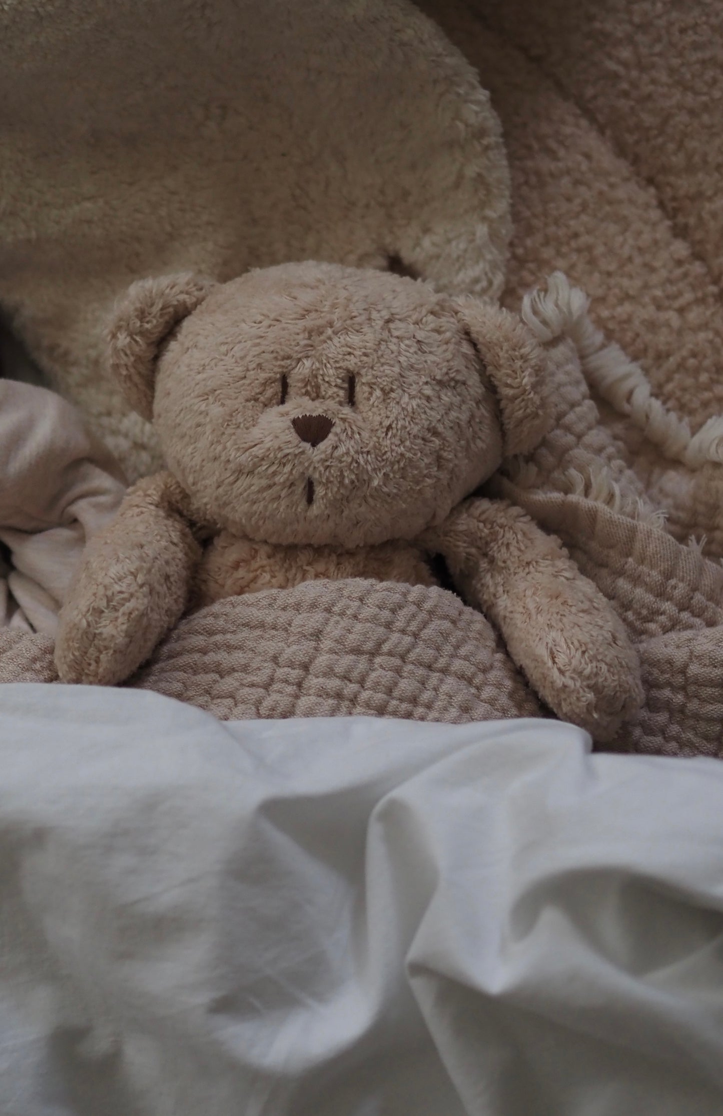 Organic Humming Bear - Sand