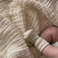 Organic L/S Classic Bodysuit - Blue Sky