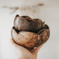Coconut Flower Bowls | Set of 3