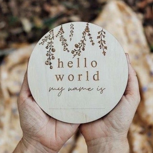 Etched Plaque - Hello World My Name Is...