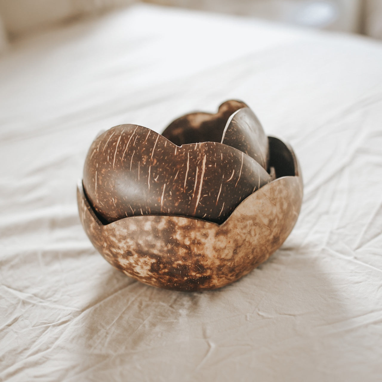 Coconut Flower Bowls | Set of 3