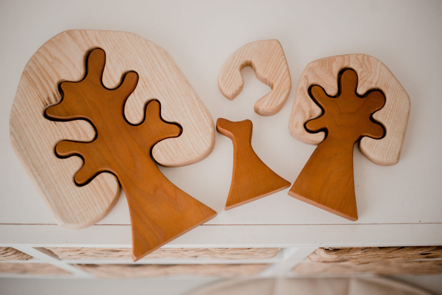 Two Toned Wooden Trees | Set of 3