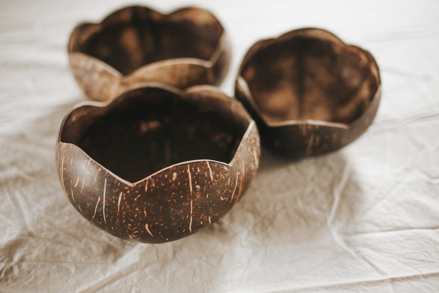 Coconut Flower Bowls | Set of 3